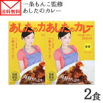 一条もんこ 監修 カレー あしたのカレー 2食セット レトルトカレー レトルト食品 お取り寄せ レトルト カレー 1000円ポッキリ 送料無料 グルメ食品 メール便 1000円 カレー 送料無料 カレー レトルト セット 常温保存 食べ物 母の日 カレー curry set お取り寄せグルメ