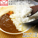 ななつぼし「食研カレー」セット ななつぼし 300g(2合) 食研カレー 2食 セット 北海道産 米 レトルト カレー 1000円ポッキリ 送料無料 グルメ食品 メール便 ポイント消化 レトルトカレー 1000円 カレー 送料無料 カレー レトルト set retort curry rice 母の日 プチギフト