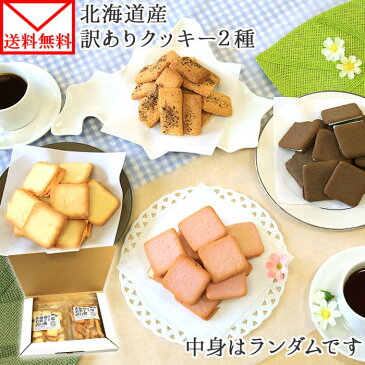 北海道産 訳あり クッキー 詰め合わせ 2種 セット 洋菓子/ラングドシャ 壊れ こわれ 欠け 割れ クッキー 訳あり スイーツ 1000円 送料無料 訳あり スイーツ 1000円ポッキリ 送料無料 お菓子 ポイント消化 メール便 北海道 お菓子 sweets cookie set 北国からの贈り物 washoku