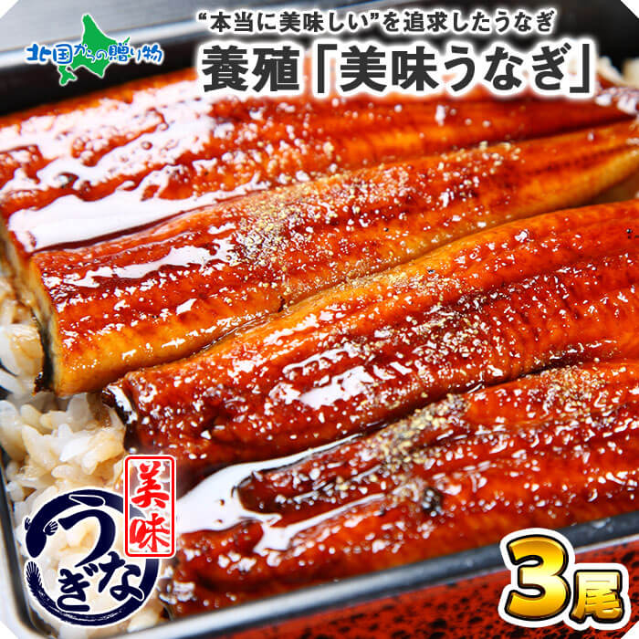 【御中元 ギフト うなぎ】ウナギの蒲焼き 3尾 セット 120g-130g前後 ウナギ ギフト 鰻 蒲焼き 土用の丑の日 うなぎ 蒲焼き 送料無料 鰻 海鮮 ギフト セット 鰻 お中元 ギフト プレゼント 食べ物 魚 ウナギ お中元 うなぎ 蒲焼 食品 gift set 暑中 お見舞い お返し 残暑見舞い