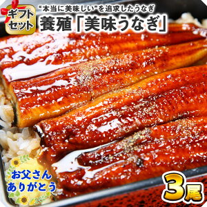 【ギフト うなぎ】ウナギの蒲焼き 3尾 セット 120g-130g前後 ウナギ ギフト 鰻 蒲焼き 土用の丑の日 うなぎ 蒲焼き 送料無料 海鮮 ギフト セット 鰻 食べ物 魚 ウナギ うなぎ プレゼント 食品 お見舞い お返し gift set ごちそう お取り寄せグルメ 高級