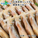 北海道 本ししゃも 雌雄 食べ比べ セット 40尾 北海道産 シシャモ 食材 材料 グルメ お取り寄せ 北海道 ししゃも メス オス ギフト 食べ物 魚 海鮮 ギフト プレゼント 冬ギフト 北海道 海鮮 魚 送料無料 食品 おつまみ 北国からの贈り物 seafood gift set