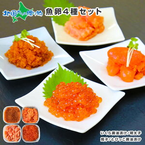 厳選 魚卵 食べ比べ 4種セット たらこ 明太子 いくら とびっこ 計600g いくら醤油漬け 送料無料 イクラ メンタイ タラコ とびこ 海鮮 お年賀 ギフト 2022 海鮮 セット お土産 お取り寄せ 北海道 お年賀ギフト 食べ物 食品 年末年始 gift set お正月 内祝い お返し プレゼント