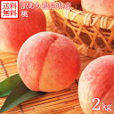 訳あり 桃 約2kg(8玉前後) 福島県産 送料無料 もぎたて モモ 朝摘み 直送品 福島 桃 もも 白桃 福島 果物 お中元 ギフト 御中元 フルーツ 残暑見...
