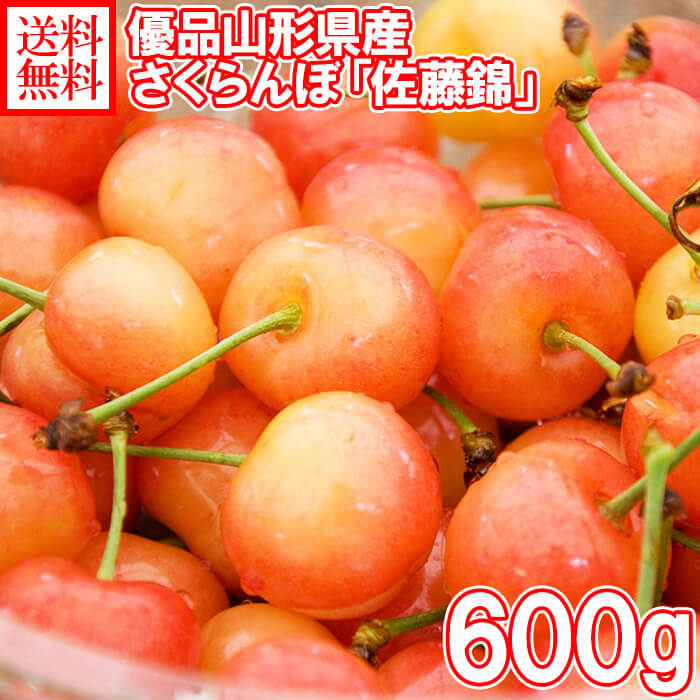 さくらんぼ 佐藤錦 優品 L玉 600g 山形県産 サクランボ 父の日 ギフト さくらんぼ 佐藤錦 果物 フルーツ ギフト 送料無料 さくらんぼ 佐藤錦 父の日 サクランボ 父の日 プレゼント 食べ物 父の日 さくらんぼ fruit gift ◆出荷予定：6月中旬-下旬