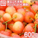 さくらんぼ 佐藤錦 優品 L玉 600g (山形県産 サクランボ 父の日 ギフト さくらんぼ 佐藤錦 果物 父の日 プレゼント フルーツ ギフト 送料無料 さく...