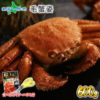 【蟹 ギフト】カニ 毛ガニ 姿 600g/かに ギフト カニ 姿 蟹姿 毛蟹 けがに 蟹味噌 かにみそ カニ味噌 鍋 ギフト すがた 蟹 北海道 毛ガニ かに ギフト カニ ボイル 毛ガニ 食品 北海道 海鮮 お取り寄せグルメ 高級 gift 食べ物 ギフト 蟹 お土産 お返し 加藤水産