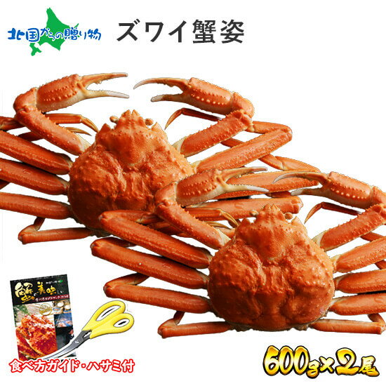 【冬 ギフト】カニ ズワイガニ 姿 ボイル 600g x 2尾 かに ギフト カニ 姿 蟹 蟹姿 ズワイ蟹 かに 鍋 甲羅 足 ずわいがに ボイルズワイガニ カニ ギフト すがた 蟹 送料無料 かに お歳暮 蟹 ギフト カニ 御歳暮 ギフト プレゼント 食べ物 年末 年内配送 北国 gift present