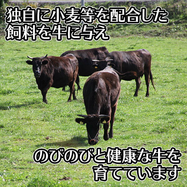 夏 ギフト 和牛 北海道産 ふらの和牛(黒毛和牛)切り落とし500g/国産 牛肉 gift お肉 北海道 牛肉 すき焼き 切り落とし 肉 しゃぶしゃぶ ギフト 和牛 すきやき 敬老の日 プレゼント 食べ物 敬老の日 ギフト すき焼き用 送料無料 すき焼き肉 シャブシャブ お返し 食品 お中元