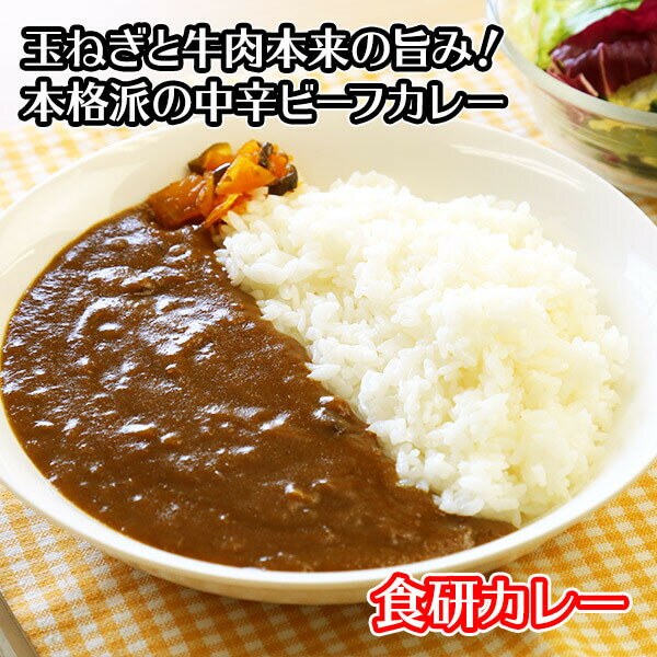 日本食研 カレー レトルト 食研カレー セット 4食 / レトルトカレー 送料無料1000円 メール便 レトルト 食品 1000円ポッキリ 送料無料 グルメ食品 ポイント消化 curry 送料無料 カレー レトルト セット 1000円 ポッキリ グルメ set カレー バレンタイン チョコ以外 食べ物格安通販　バレンタイン　人気　ランキング