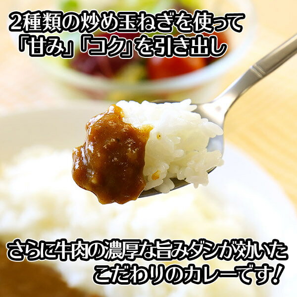 日本食研 カレー レトルト 食研カレー セット 4食 / レトルトカレー 送料無料1000円 メール便 レトルト 食品 1000円ポッキリ 送料無料 グルメ食品 ポイント消化 curry 送料無料 カレー レトルト セット 1000円 ポッキリ グルメ set カレー バレンタイン チョコ以外 食べ物格安通販　バレンタイン　人気　ランキング