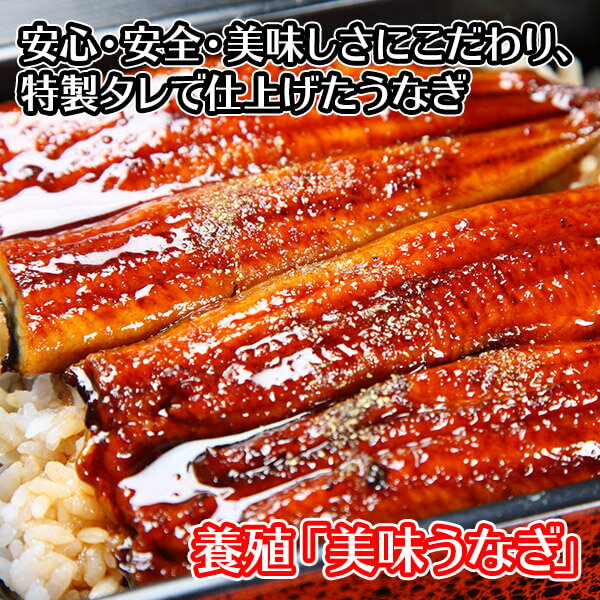 【冬 ギフト うなぎ】ウナギの蒲焼き 2尾 セット 120g-130g前後 うなぎ ギフト ウナギ バレンタイン 鰻 海鮮 土用 の 丑の日 うなぎ 送料無料 グルメ ギフト ウナギ 食品 うなぎ 蒲焼き 鰻 チョコ以外 食べ物 お返し ホワイトデー プレゼント お見舞い 快気祝い gift set格安通販　バレンタイン　人気　ランキング