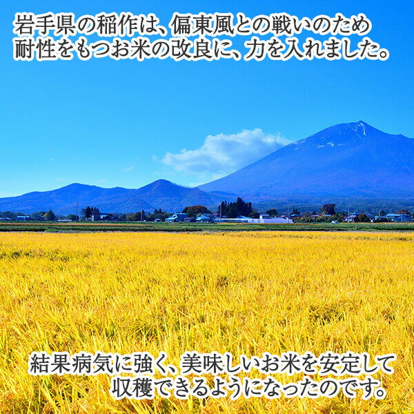 御中元 ギフト お米 食べ比べ 2種 セット 岩手県産 金銀米 金色の風 銀河のしずく 詰め合わせ ギフト プレゼント お祝い お取り寄せ グルメ ギフト ご飯 お中元 ギフト お米 ギフト 米 退職 引っ越し 挨拶 ギフト お礼 内祝い お返し お米 gift set 送料無料 残暑見舞い