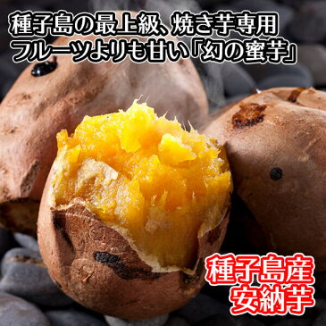 安納芋 15-25本前後/計5kg前後 種子島産 さつまいも 5kg 安納芋 サツマイモ 焼き芋 安納芋 蜜芋 送料無料 安納芋 種子島 ◆出荷予定：10月中旬-3月中旬 sweet potato