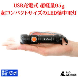 [ラドウェザー] LEDライト 懐中電灯 極小サイズ 充電式 軽量 小型 防水 登山 防災 災害 グッズ キャンプ アウトドア