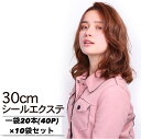 【お得な10袋セット!】シールエクステ30cm 200本分(400P) ダーク・ライトカラー 鎖骨下 │ 人毛100% レミー毛 つけ毛 ヘアー 髪 長持ち ...