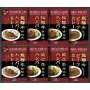 飛騨高山ファクトリー 松阪牛・近江牛・飛騨牛仕込みハンバーグ&カレー詰合せ HBK-50【のし・包装無料】【代引不可】