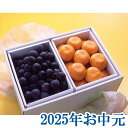 お中元ギフト『長野県産種なし巨峰&ハウスみかん』(代引不可)