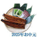 お中元ギフト『浜松・浜名湖うなぎ蒲焼2人前』(代引不可)