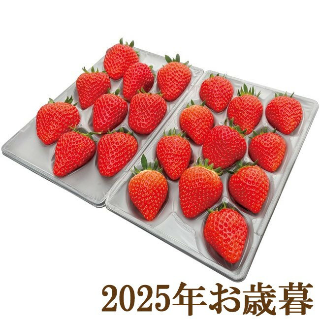 お歳暮ギフト2025『いただきいちご園 福岡県産 いちご食べ比べギフト 約270g×2』(代引不可)