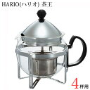 HARIO(ハリオ) 茶王 4杯用 600ml