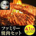 【新商品】【直送】亀山社中 ファミリー 焼肉セット 4.1kg 焼き肉 焼肉 カルビ 薄め カット BBQ バ-ベキューセット 牛肉 ハラミ 華咲き カタロ-ス 肩ロ-ス 塩麹漬け タレ漬け たれ漬け キムチ 亀山社中 グルメ 食品※メーカー直送につき離島配達不可。