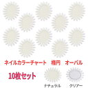 10枚セット ネイル カラーチャート オーバルタイプ 楕円 ナチュラルホワイト クリアー