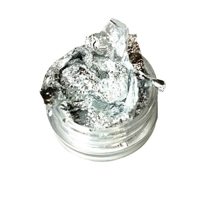 �ͥ��� �ۥ��� ����/������ �����ۥ��� �쥸��ˤ� �ͥ���ѡ���