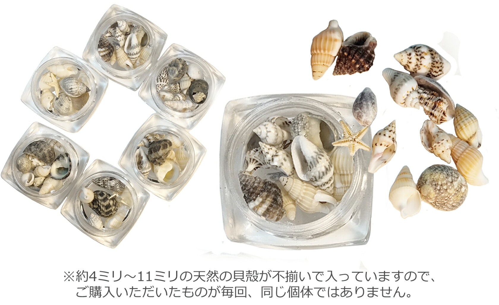 �ͥ���ѡ��� ŷ���٥ӡ������� ���� �� �쥸��ˤ� 4~11�ߥ�