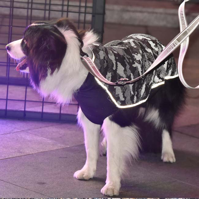 ドッグジャケット レインコート ドッグウェア 犬服 ウェア 背面が反射テープあり 中型犬から大型犬 雨..