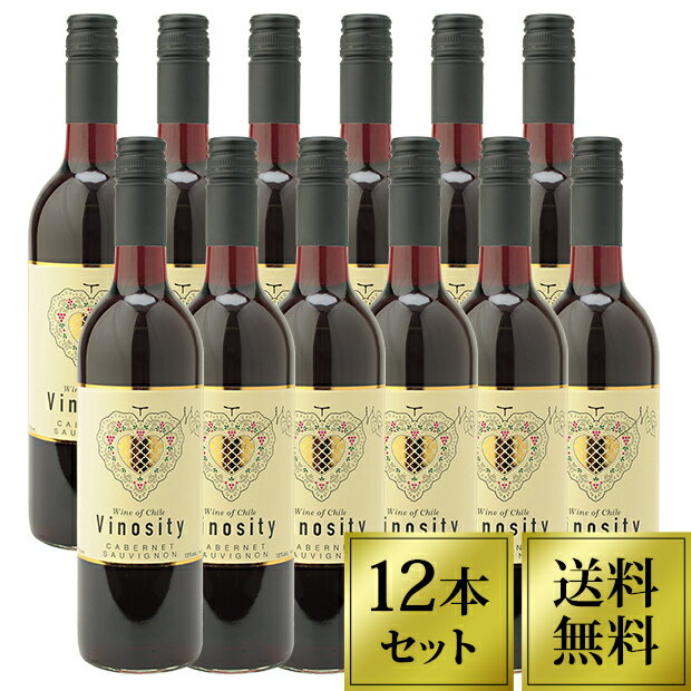 チリワイン 【最大600円OFFクーポン配布中！】【送料無料】ヴィノシティ 赤 750ml 12本セット | ワインセット 12本 セット ケース チリ チリワイン 赤ワイン セット 赤 ワイン 中重口 ミディアムボディ マリアージュ