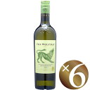 ウルフ・トラップ 白/ブーケンハーツクルーフ 750ml×6本 (白ワイン)