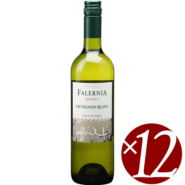 楽天ワイン本舗　ヴァン・ヴィーノ【まとめ買い】ソーヴィニヨン　ブラン　レセルバ/ビーニャ　ファレルニア （白ワイン）750ml×12本
