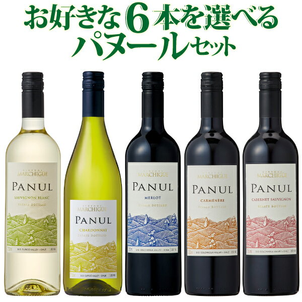 チリワイン・パヌール選べる6本セット！コスパ抜群のチリワインを自由に組み合わせよう！　750ml×6本