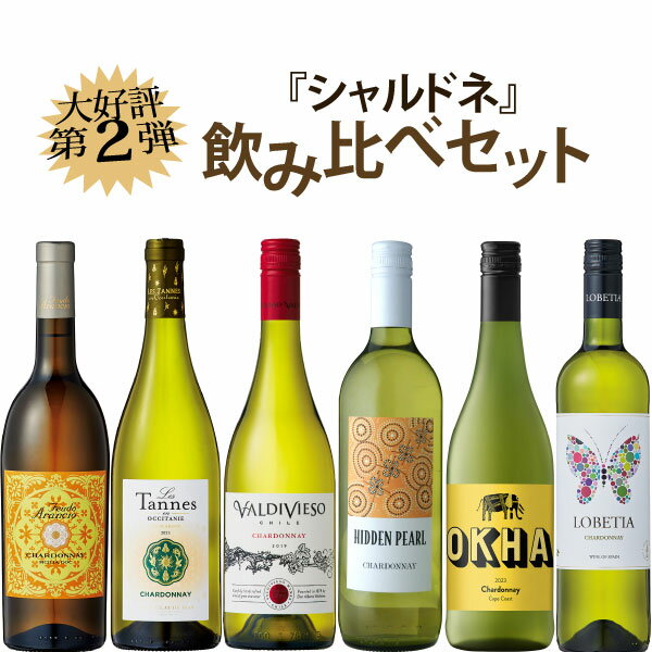 【大好評第2弾】シャルドネ飲み比べセット 750ml×6本