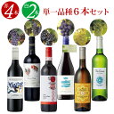 赤ワイン好きの方用！赤ワインが4本入った100％単一品種6本セット 750ml(カベルネ・ソーヴィニヨン、メルロー、シラー、ピノ・ノワール、シャルドネ、ソーヴィニヨン・ブラン)×6本