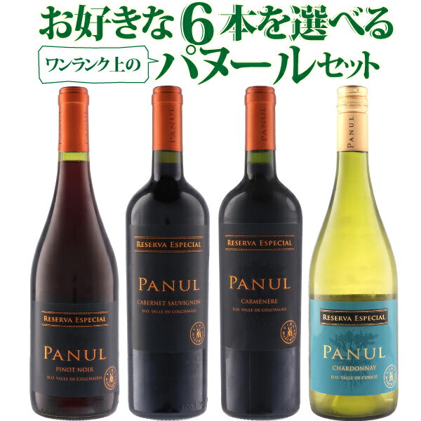 ワンランク上のパヌール選べる6本セット！コスパ抜群のチリワインを自由に組み合わせよう！　750ml×6本