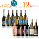 (フェウド・アランチョ)ワイナリーまるごと12本セット　ワインセットイタリア産 750ml×12本 ロゼ/白ワイン/赤ワイン