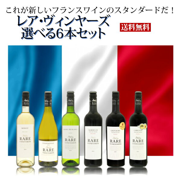 革新的フランスワインレア・ヴィンヤ...
