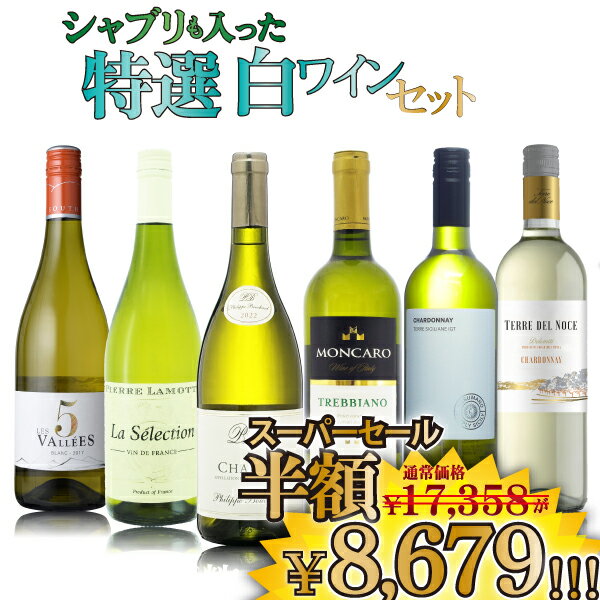 【スーパーセール半額】シャブリも入った 特選 白ワイン 6本セット　750ml×6本 ワインセット 白