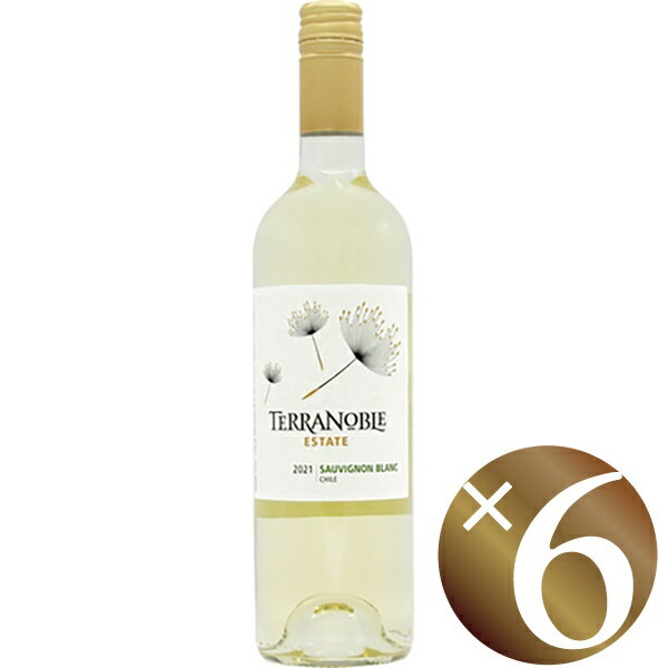ソーヴィニヨンブラン/テラノブレ　750ml×6本　(白ワイン）