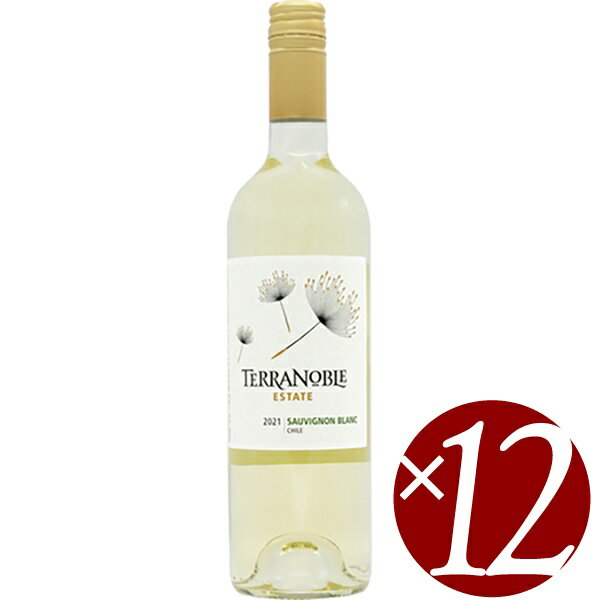 【ポイント2倍(11日まで)】 ソーヴィニヨンブラン/テラノブレ 750ml×12本 (白ワイン）