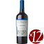 ڥݥ10ܡۥ͡졡쥻/ƥΥ֥졡750ml12ܡ(֥磻