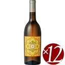 シャルドネ/フェウド・アランチョ 750ml×12本 (白ワイン)【辛口】【イタリア産 シチリア産 シャルドネ / ハロウィン クリスマス 誕生日 パーティー ギフト プレゼント お祝い 結婚祝い】