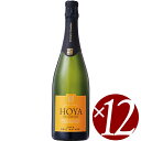 オヤ・デ・カデナス カバ ブルット ナトゥーレ/ビセンテ・ガンディア 750ml×12本 (スパークリングワイン)【まとめ買い/ケース売り/業務用】【スパークリングワイン 発泡酒 炭酸 微発泡 発泡性ワイン ハロウィン クリスマス 誕生日 結婚祝い パーティー】