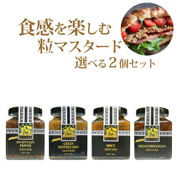 【ポイント5倍(20~22日)】食感を楽しむマスタード　ヒルファーム　タスマニア　マスタード　選べる2コセット　180g×2個（粒マスタード）