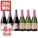 日本の甘口シードル・赤スパークリングワインお得な6本セット 泡 ワインセット 送料無料 日本ワイン 国産 日本 ワイン プレゼント ギフト 母の日
