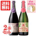 日本の甘口シードル・赤スパークリングワインギフトセット 泡 ワインセット 送料無料 ワインギフト ペアセット 日本ワイン 国産 日本 ワイン クリスマス 誕生日祝い 結婚記念日 プレゼント ギフト 母の日