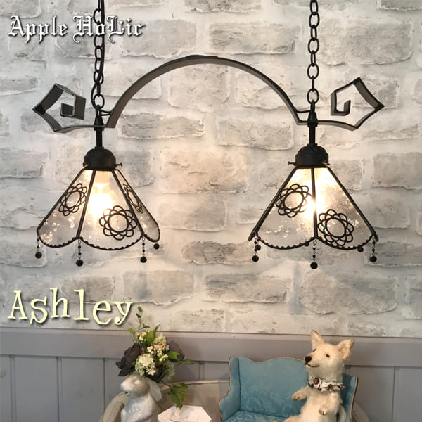 ȥ졼   襤 ǥꥢ ڥȥ饤 2 󥰥饤 ڥȥ ƥɥ饹  LEDб ե Apple HoLic  2Lights Ashley ꡼ 