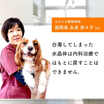 【初回半額クーポンプレゼント】(目の健康維持)【6成分配合:ブルーベリー(ビルベリー) ルテイン グリーンプロポリス アスタキサンチン メグスリノキ ムラサキイモ】アイケア 涙やけ 涙焼け 眼病 目ヤニ 赤み 濁り(ミルク粉末 犬猫兼用サプリ 毎日愛眼)